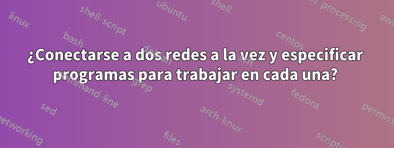 ¿Conectarse a dos redes a la vez y especificar programas para trabajar en cada una?