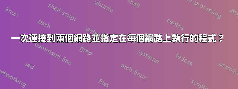 一次連接到兩個網路並指定在每個網路上執行的程式？
