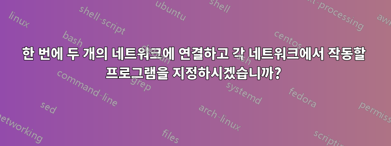 한 번에 두 개의 네트워크에 연결하고 각 네트워크에서 작동할 프로그램을 지정하시겠습니까?