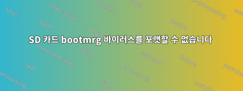 SD 카드 bootmrg 바이러스를 포맷할 수 없습니다