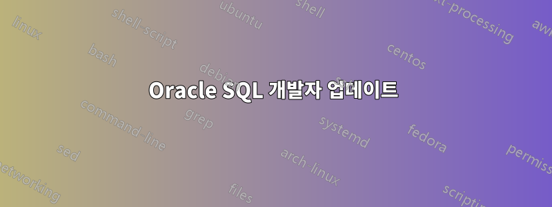 Oracle SQL 개발자 업데이트