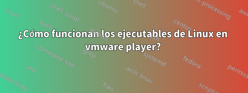 ¿Cómo funcionan los ejecutables de Linux en vmware player?