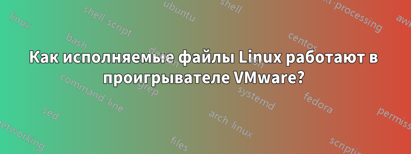 Как исполняемые файлы Linux работают в проигрывателе VMware?