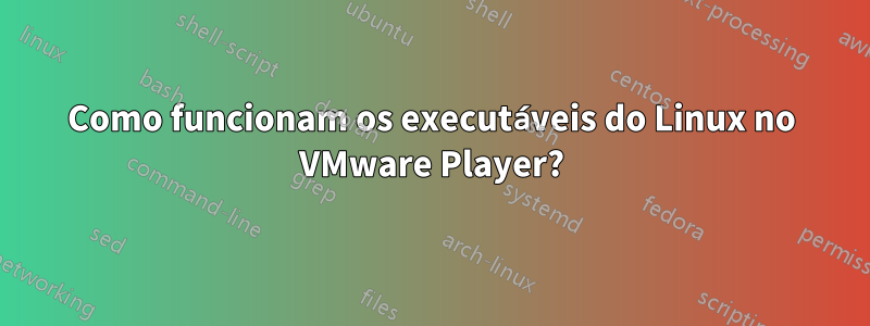 Como funcionam os executáveis ​​​​do Linux no VMware Player?