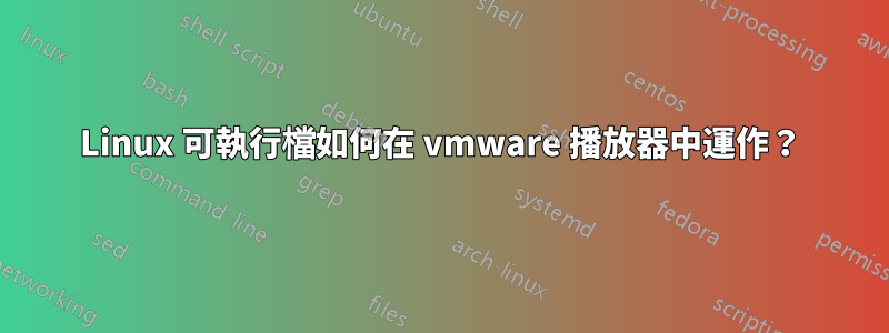 Linux 可執行檔如何在 vmware 播放器中運作？