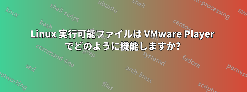 Linux 実行可能ファイルは VMware Player でどのように機能しますか?