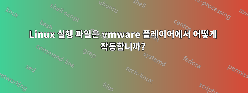 Linux 실행 파일은 vmware 플레이어에서 어떻게 작동합니까?