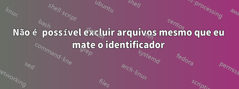 Não é possível excluir arquivos mesmo que eu mate o identificador