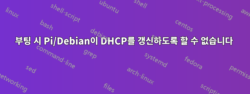 부팅 시 Pi/Debian이 DHCP를 갱신하도록 할 수 없습니다