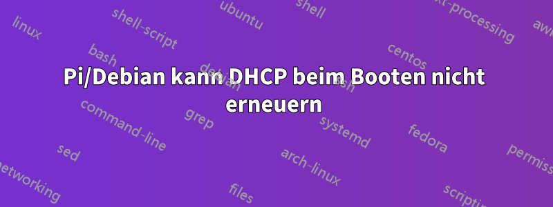 Pi/Debian kann DHCP beim Booten nicht erneuern