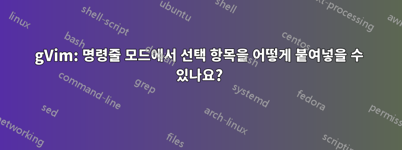 gVim: 명령줄 모드에서 선택 항목을 어떻게 붙여넣을 수 있나요?