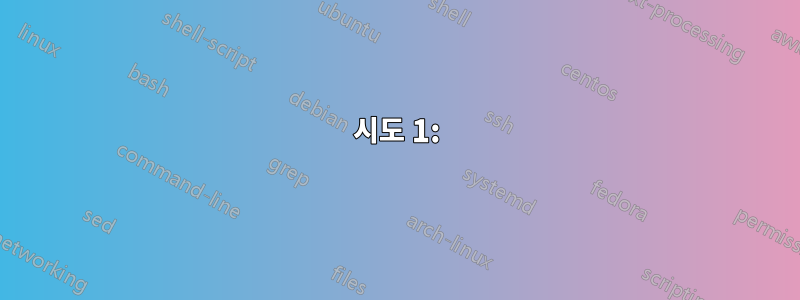 시도 1: