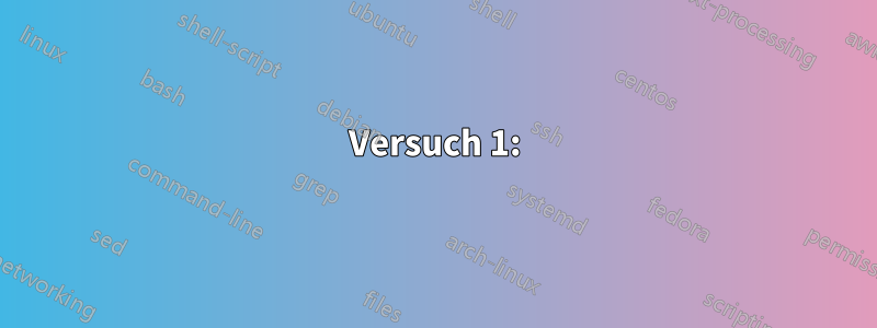 Versuch 1: