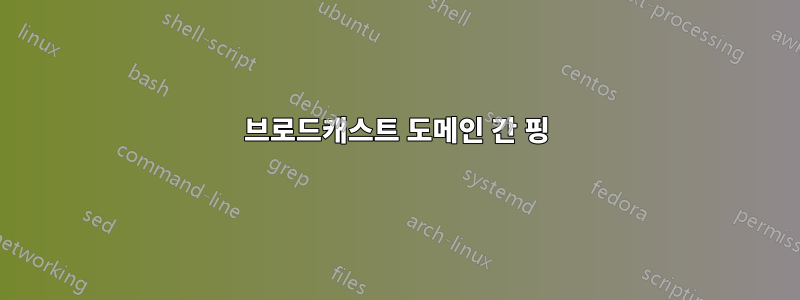 브로드캐스트 도메인 간 핑