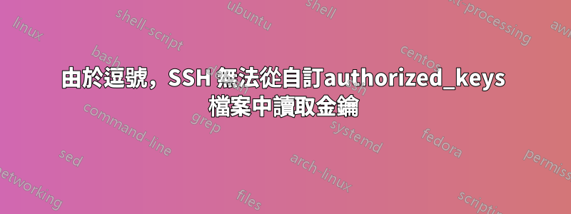 由於逗號，SSH 無法從自訂authorized_keys 檔案中讀取金鑰