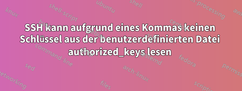 SSH kann aufgrund eines Kommas keinen Schlüssel aus der benutzerdefinierten Datei authorized_keys lesen