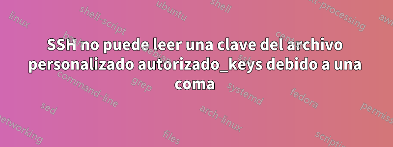 SSH no puede leer una clave del archivo personalizado autorizado_keys debido a una coma