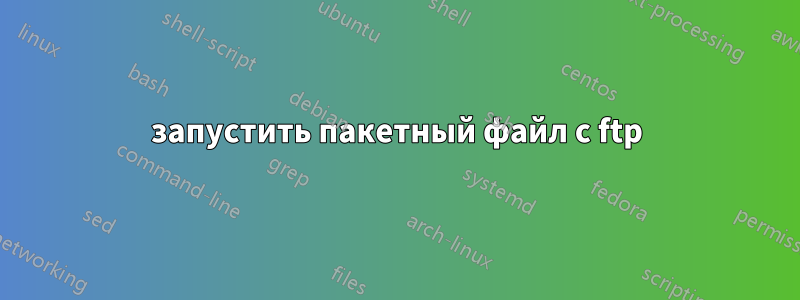 запустить пакетный файл с ftp