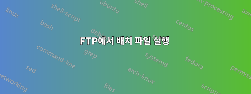 FTP에서 배치 파일 실행