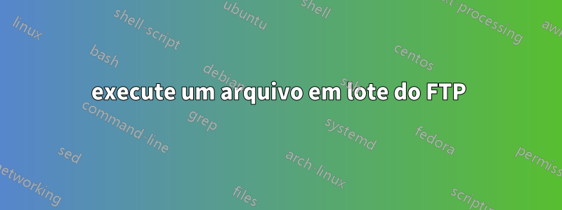 execute um arquivo em lote do FTP