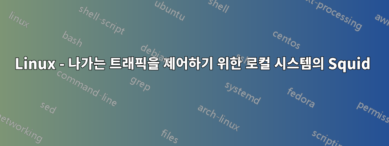 Linux - 나가는 트래픽을 제어하기 위한 로컬 시스템의 Squid