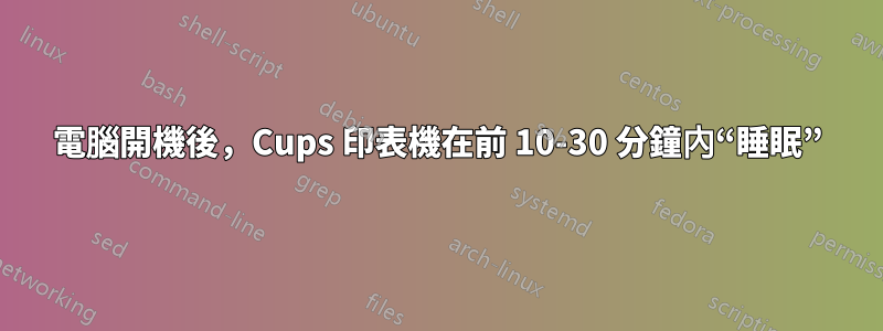 電腦開機後，Cups 印表機在前 10-30 分鐘內“睡眠”