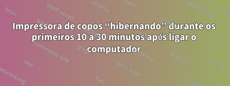 Impressora de copos “hibernando” durante os primeiros 10 a 30 minutos após ligar o computador