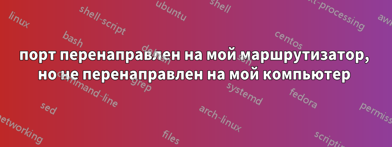порт перенаправлен на мой маршрутизатор, но не перенаправлен на мой компьютер