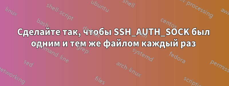 Сделайте так, чтобы SSH_AUTH_SOCK был одним и тем же файлом каждый раз