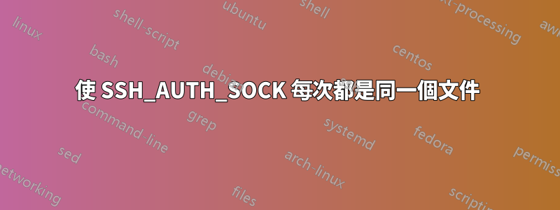 使 SSH_AUTH_SOCK 每次都是同一個文件