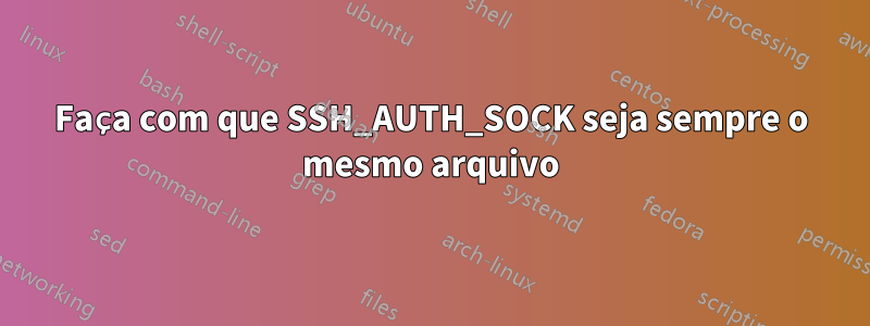 Faça com que SSH_AUTH_SOCK seja sempre o mesmo arquivo