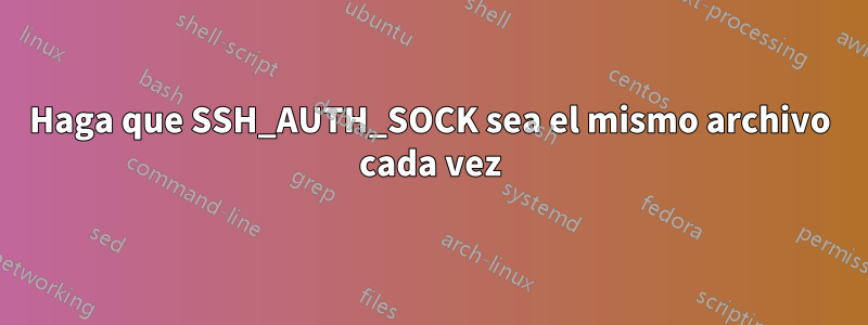 Haga que SSH_AUTH_SOCK sea el mismo archivo cada vez