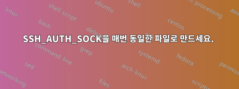 SSH_AUTH_SOCK을 매번 동일한 파일로 만드세요.