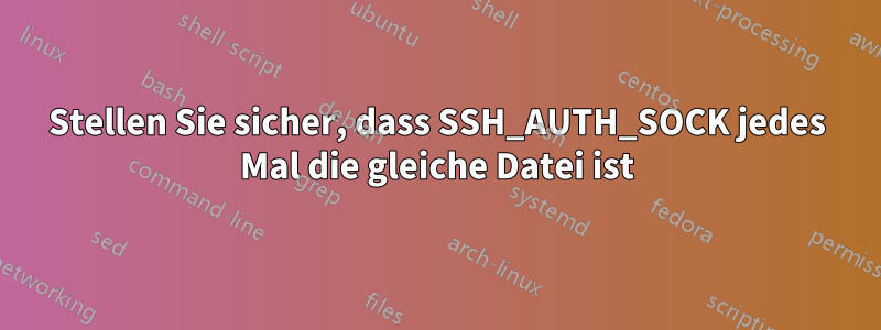 Stellen Sie sicher, dass SSH_AUTH_SOCK jedes Mal die gleiche Datei ist