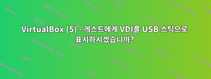 VirtualBox (5) - 게스트에게 VDI를 USB 스틱으로 표시하시겠습니까?