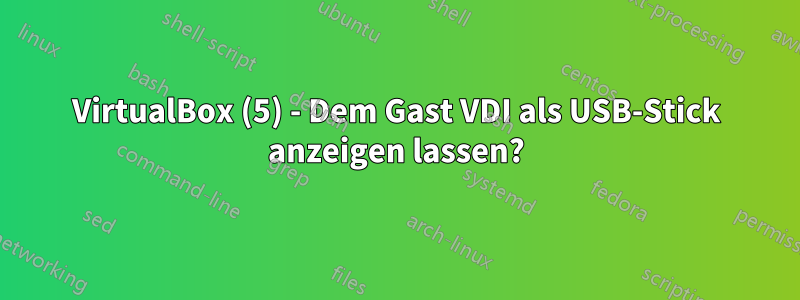 VirtualBox (5) - Dem Gast VDI als USB-Stick anzeigen lassen?