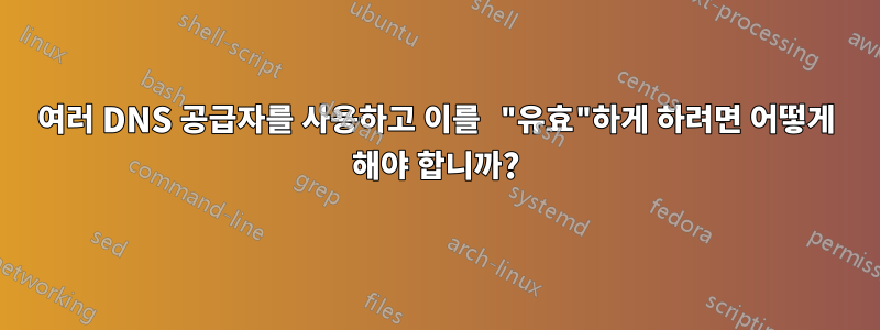 여러 DNS 공급자를 사용하고 이를 "유효"하게 하려면 어떻게 해야 합니까?