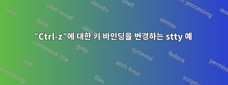 "Ctrl-z"에 대한 키 바인딩을 변경하는 stty 예