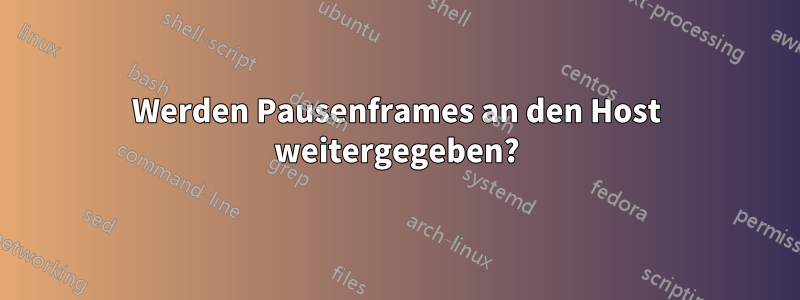 Werden Pausenframes an den Host weitergegeben?