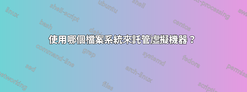 使用哪個檔案系統來託管虛擬機器？