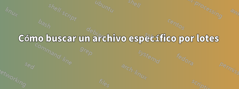 Cómo buscar un archivo específico por lotes