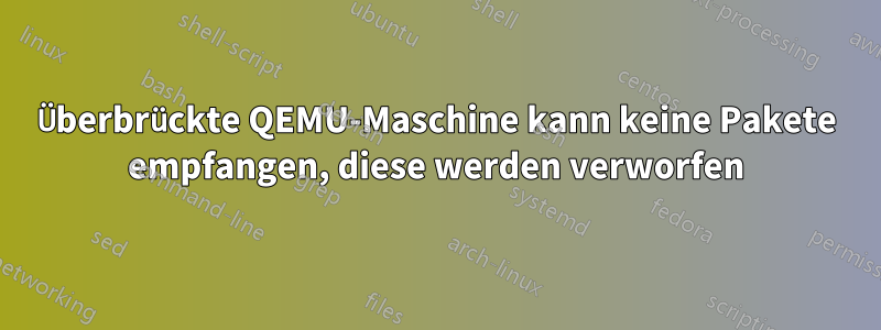 Überbrückte QEMU-Maschine kann keine Pakete empfangen, diese werden verworfen