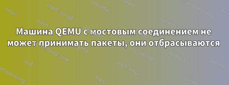 Машина QEMU с мостовым соединением не может принимать пакеты, они отбрасываются