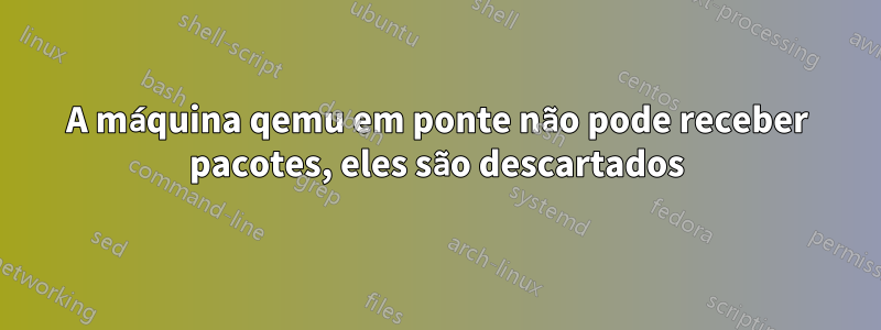 A máquina qemu em ponte não pode receber pacotes, eles são descartados