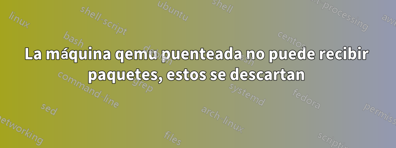La máquina qemu puenteada no puede recibir paquetes, estos se descartan
