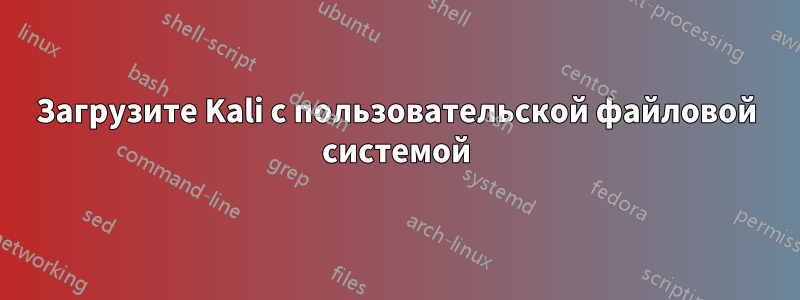 Загрузите Kali с пользовательской файловой системой