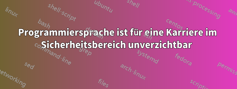 Programmiersprache ist für eine Karriere im Sicherheitsbereich unverzichtbar 