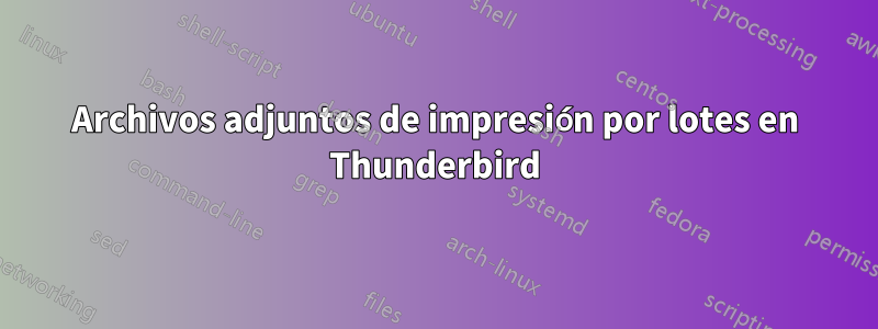 Archivos adjuntos de impresión por lotes en Thunderbird