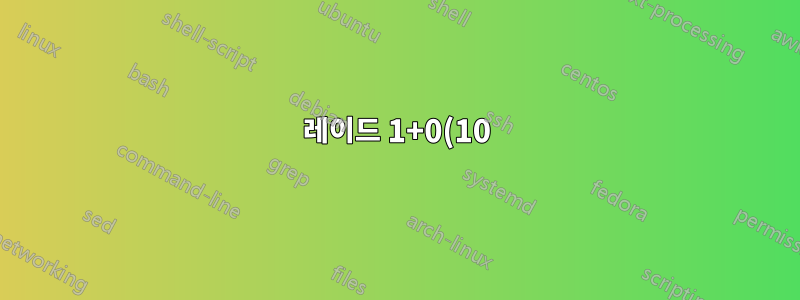 레이드 1+0(10) 시스템 재구축