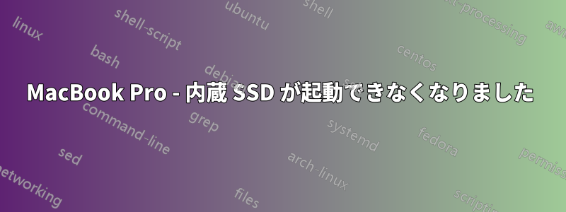 MacBook Pro - 内蔵 SSD が起動できなくなりました